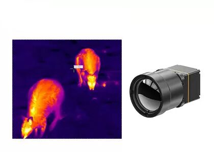Long Wave 640x512 12μm Uncooled Thermal Camera Core for Wildlife Observation