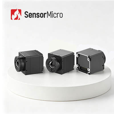 384x288 Resolution 12μm Pixel Pitch LWIR Thermal Camera Module for Security and Rescue