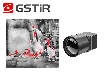 LWIR Thermal Imaging Camera Core With 25Hz/30Hz Frame Rate For ADAS